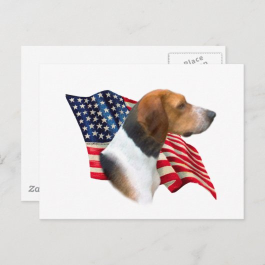Flag American Foxhound Postkarte (Vorne/Hinten)