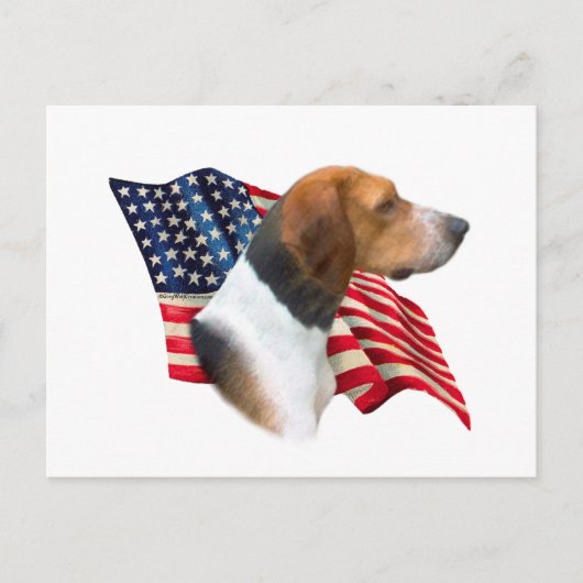 Flag American Foxhound Postkarte (Vorderseite)