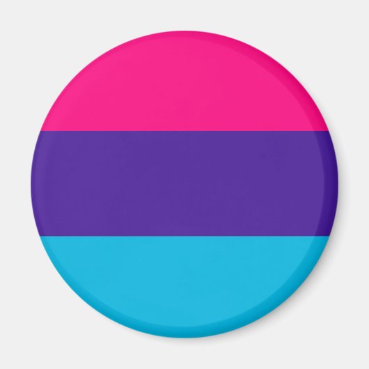 Flag Androgyne Magnet (Vorne)