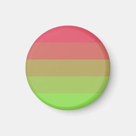 Flag Aroflux Magnet (Vorne)