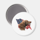 Flag Chesapeake Bay Retriever Magnet (Vorderseite/Rückseite)
