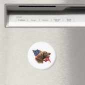 Flag Chesapeake Bay Retriever Magnet (In Situ (Geschirrspüler))