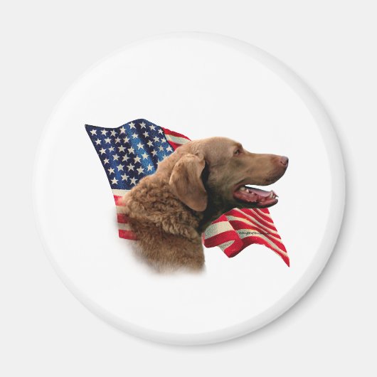 Flag Chesapeake Bay Retriever Magnet (Vorne)