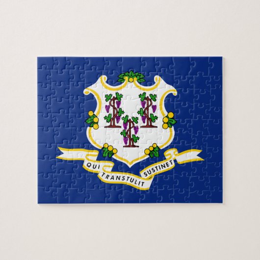Flag Connecticut State 8x10 Puzzle (Horizontal)