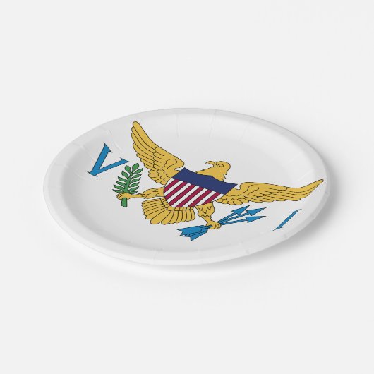 Flag der Jungfrauen der Vereinten Staaten Pappteller (Schrägansicht)