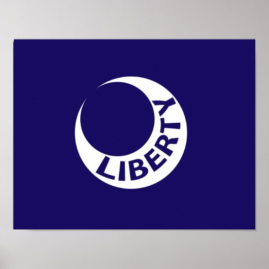 Flag Fort Moultrie, South Carolina Poster (Vorne)