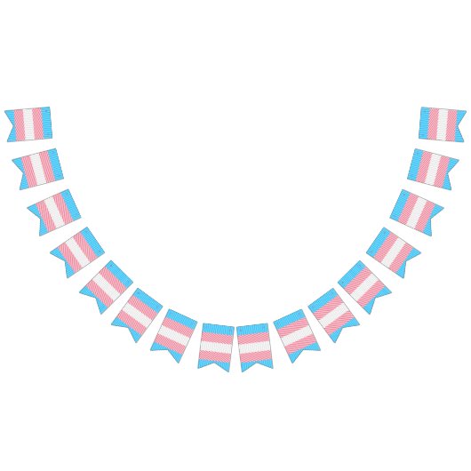 Flag "Funky Boho Stripe Abstrakt Transgender Pride Wimpelkette (Alle)