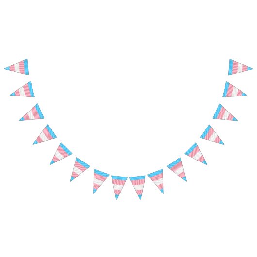 Flag "Funky Boho Stripe Abstrakt Transgender Pride Wimpelkette (Alle)