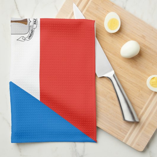 Flag für äquatoriale Guinea Geschirrtuch (Viertel Falte)