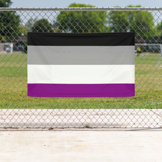 Flag für den asexuellen Stolz Banner (Insitu)