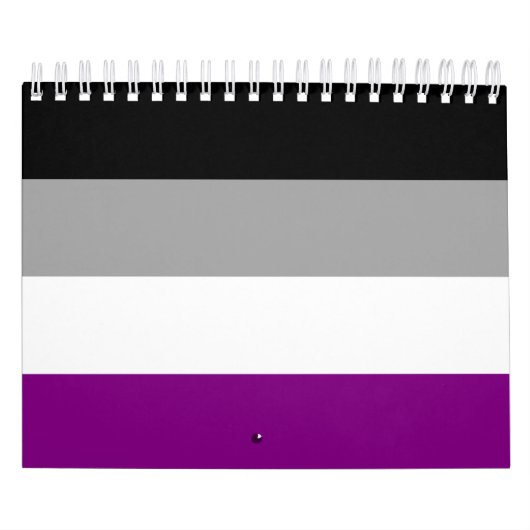 Flag für den asexuellen Stolz Kalender (Titelbild)
