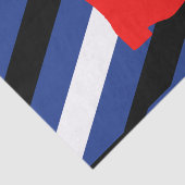 Flag für den Boot-Pride Seidenpapier (Ausschnitt)