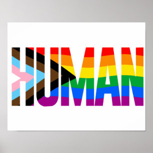 Flag für die Inklusivität Poster