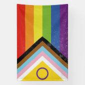 Flag für inklusiven intersexuellen Fortschritt Banner (Vertikal)