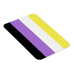 Flag für nichtbinäre Pride Magnet