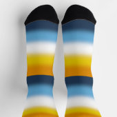 Flag Gradient AroAce Socken (Oben)