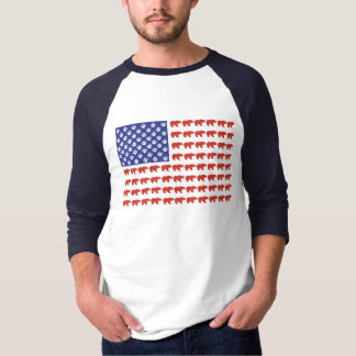 Flag Grizzly Bear USA T-Shirt