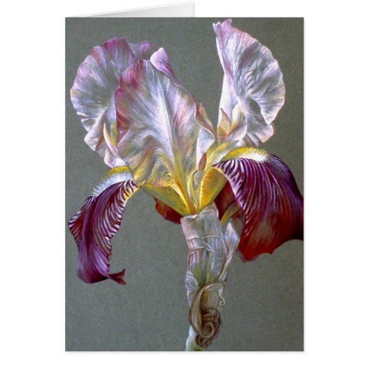 Flag Iris botanische Blume Schwarze Karte (Vorne)