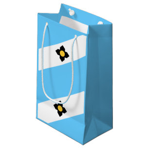 Flag Madison, Wisconsin kleine Geschenktasche Geschenktüte