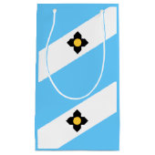 Flag Madison, Wisconsin kleine Geschenktasche Kleine Geschenktüte (Vorderseite)
