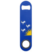 Flag Merionethshire Bar Key (Vorderseite)