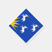 Flag Merionethshire Paper Napkins Serviette (Ecke)