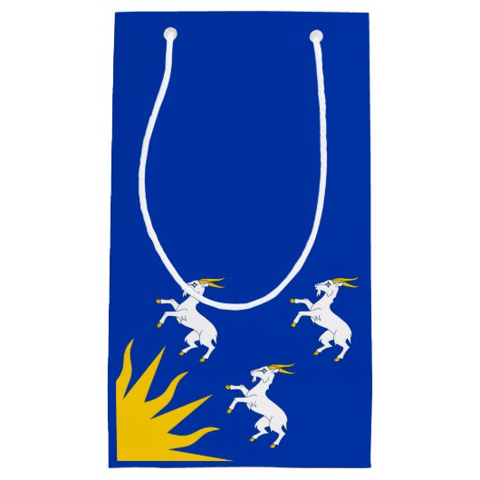 Flag Merionethshire Small Gift Bag Kleine Geschenktüte (Vorderseite)
