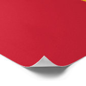 Flag Mississippi Poster (Ecke)