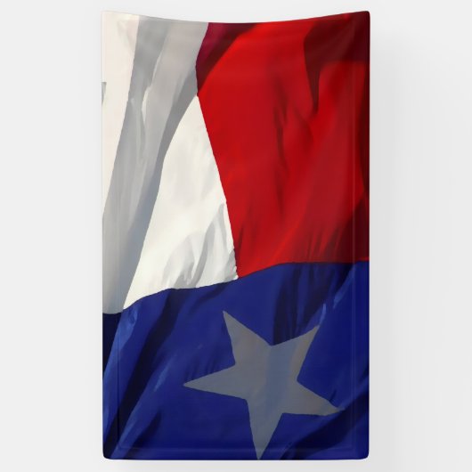 Flag of Texas Pop Art Banner (Vertikal)