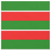 Flag Patriotic Tatarstan Stoff (Nahaufnahme)