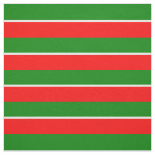 Flag Patriotic Tatarstan Stoff