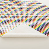 Flag Philadelphia Rainbow Pride Sherpadecke (3/4)