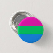 Flag Polysexualität Button (Vorne & Hinten)