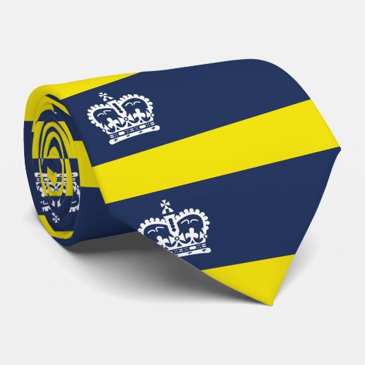 Flag Regina, Saskatchewan Neck Tie Krawatte (Gerollt)