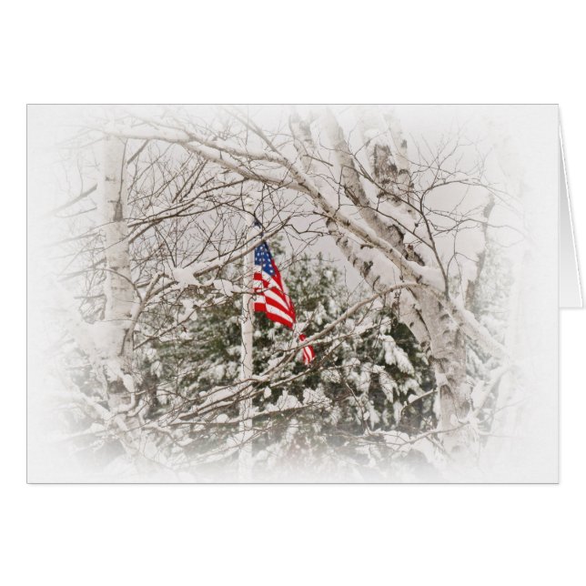 Flag Scene (Vorderseite (Horizontal))