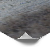 Flag Stall - The American West - Poster (Ecke)