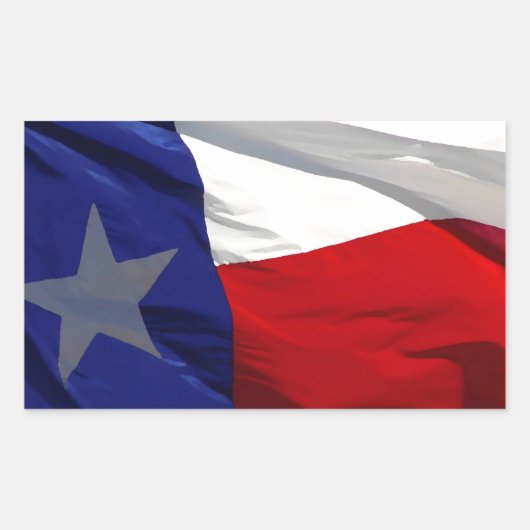 Flag Texas Pop Art Rechteckiger Aufkleber (Vorderseite)