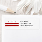 Flag Washington DC (Insitu)