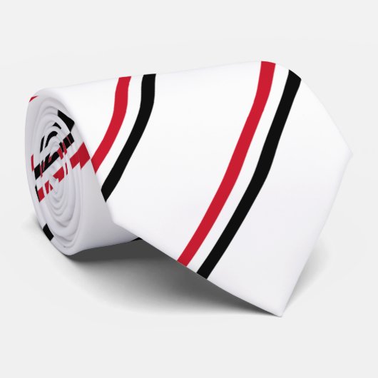 Flagge Ägyptens Krawatte (Gerollt)