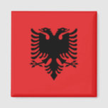 Flagge Albaniens Magnet<br><div class="desc">Die Albanesische Flagge ist eine Flagge mit einem Emblem auf einem einfarbigen Feld. Die verwendeten Farben in der Flagge sind rot und schwarz. Der Anteil der albanesischen Flagge ist 5:7. Die Flagge Albaniens wurde 1992 adoptiert. Die erste Verwendung der aktuellen Flaggengestaltung erfolgte 1444. Die letzte Änderung an der aktuellen Albanesischen...</div>