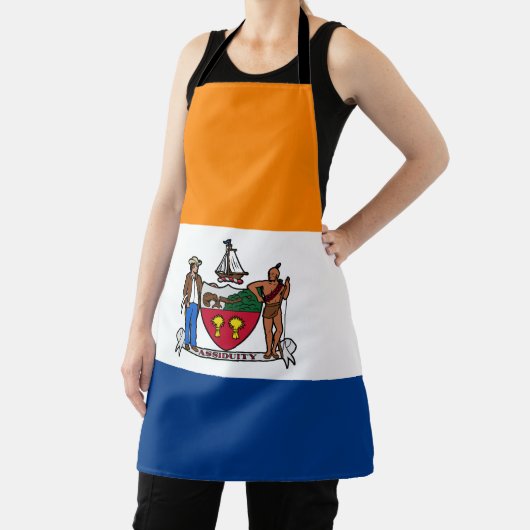 Flagge Albaniens, New York Schürze (InSitu)