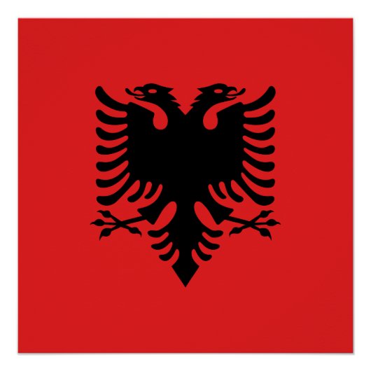 Flagge Albaniens Poster (Vorderseite)