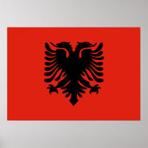 Flagge Albaniens Poster