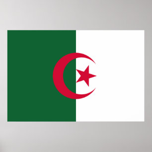 Flagge Algerien Poster