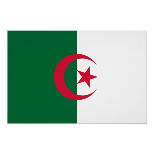 Flagge Algeriens Poster (Vorderseite)