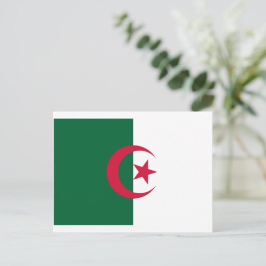 Flagge Algeriens Postkarte (Stehend Vorderseite)