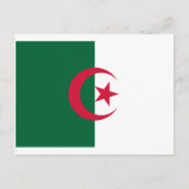 Flagge Algeriens Postkarte (Vorderseite)