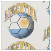 Flagge Argentiniens Muster für das Fußballball-Mus Stoff (Nahaufnahme)