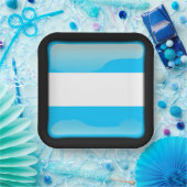 Flagge Argentiniens Pappteller (Party)