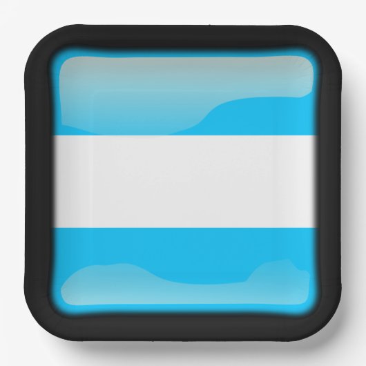 Flagge Argentiniens Pappteller (Vorderseite)